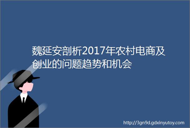 魏延安剖析2017年农村电商及创业的问题趋势和机会