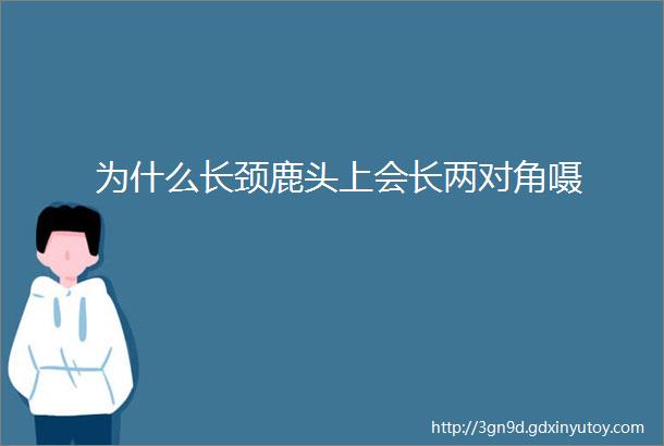 为什么长颈鹿头上会长两对角嗫